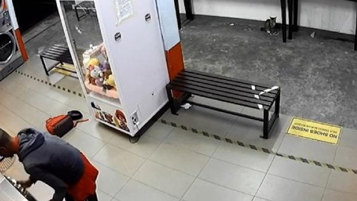 Malezya'da 3 kediyi çamaşır makinesine attı