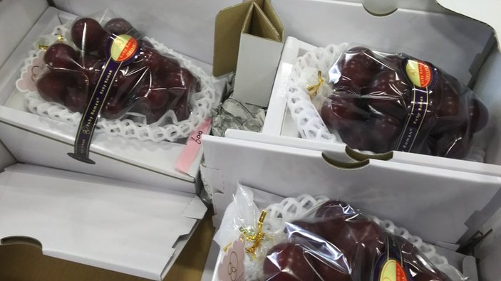 Japonya'da bir salkım üzüm, 83 bin liraya alıcı buldu