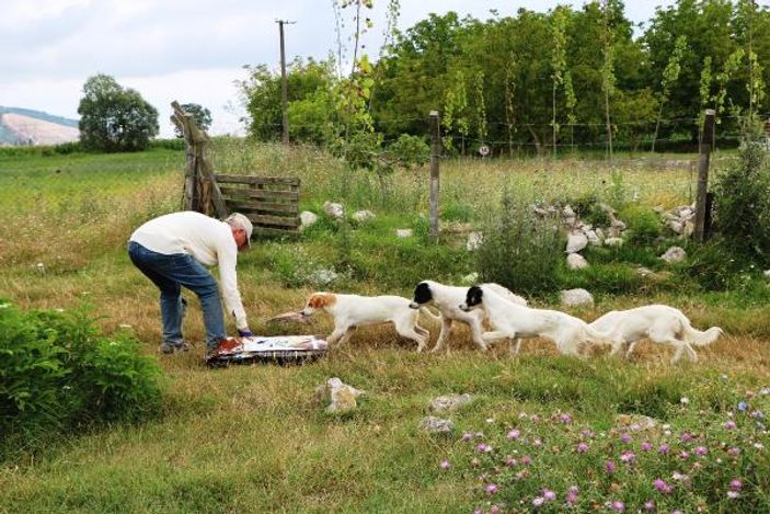 Bakımevi personelinin köpekleri diri diri gömdüğü iddiası