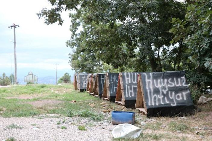 Bakımevi personelinin köpekleri diri diri gömdüğü iddiası
