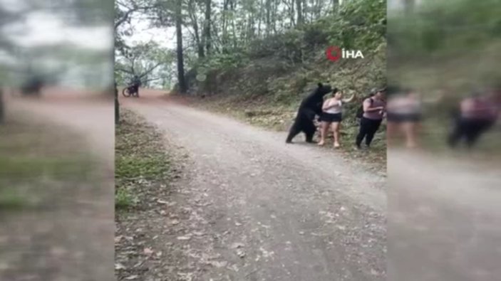 Meksika'da 3 kadın ayı ile selfie çekti