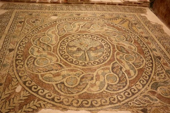 Amasya'da kaçak kazıda bulunan elma mozaiği, sergileniyor