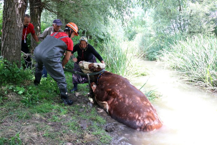 Bolu’da derede mahsur kalan inek kurtarıldı