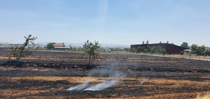 Uşak’ta çıkan yangında 100 hektar alan zarar gördü