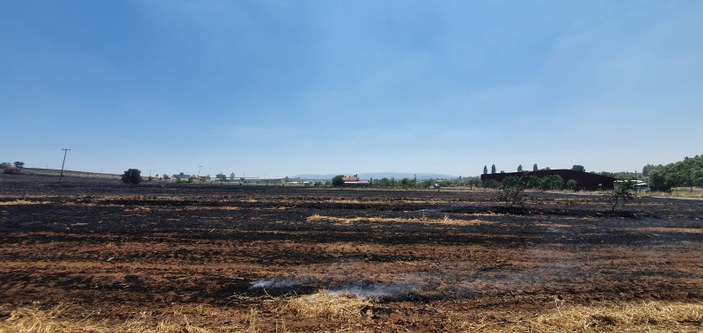 Uşak’ta çıkan yangında 100 hektar alan zarar gördü