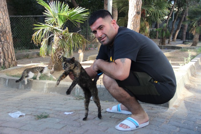İzmir'de motosikletli, kediyi ezmemek için kaza yaptı