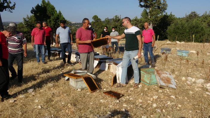 Mersin'de arı kovanlarına sinek ilaçlı saldırı