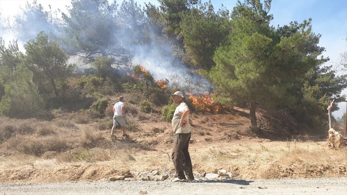 Çanakkale'de orman yangını