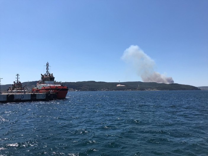 Çanakkale'de orman yangını