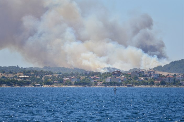 Çanakkale'de orman yangını