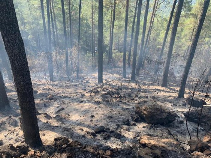 Burdur'da mangal ateşi, 46 dönüm araziyi kül etti