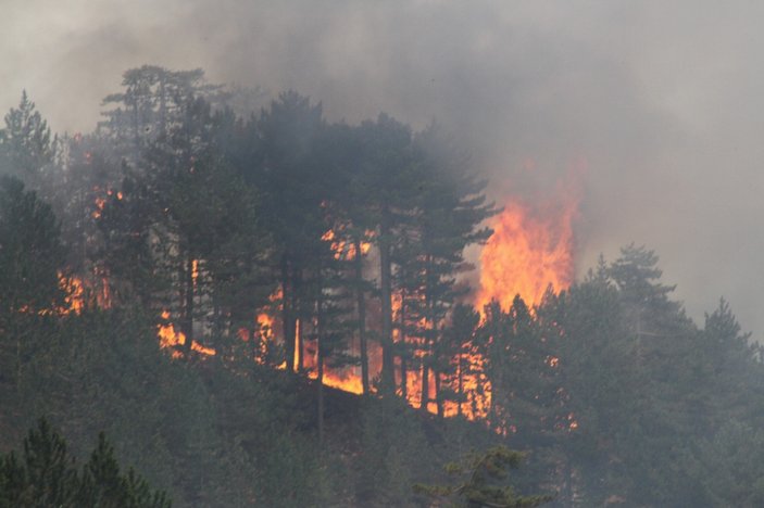 Bakan Pakdemirli: 19 yangından 15'i kontrol altına alındı