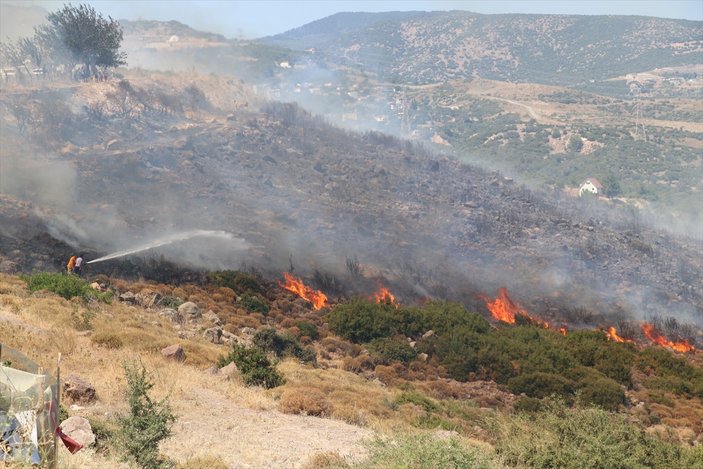 İzmir'de iki bölgede orman yangını