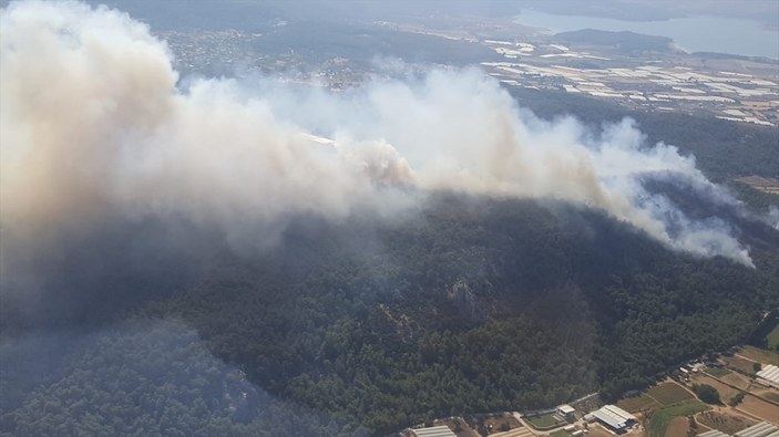 İzmir'de iki bölgede orman yangını