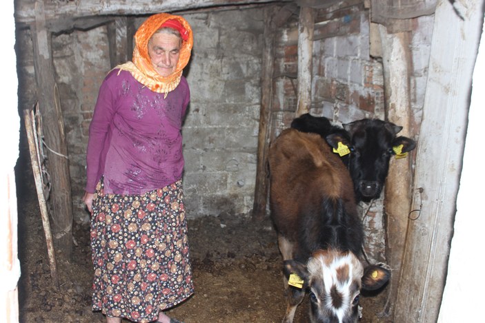 Sabiha Nine inekleri ile mutlu bir bayram geçiriyor