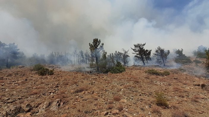 Türkiye'de orman yangınları bitmiyor