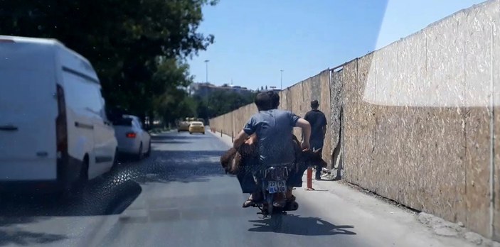 Gaziantep'te motosiklete koyunla beraber bindiler
