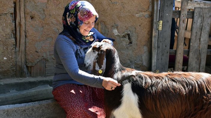 Bilecik'te bir kadın kuaförlüğü bırakıp çiftlik kurdu