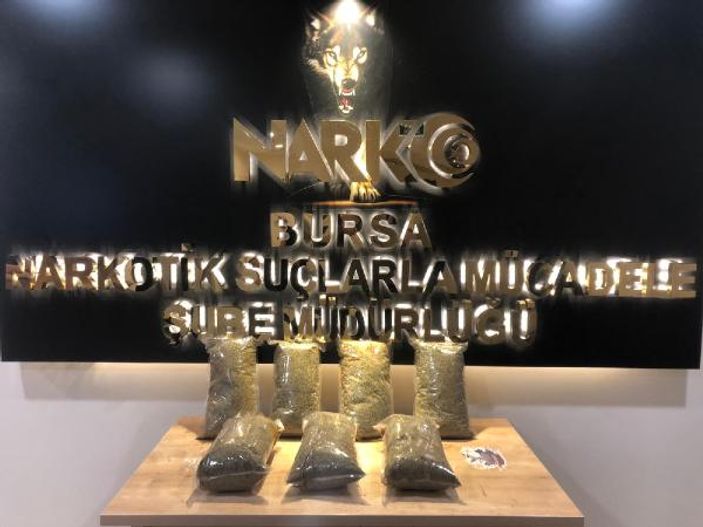 Bursa'da 7 kilo bonzai ele geçirildi