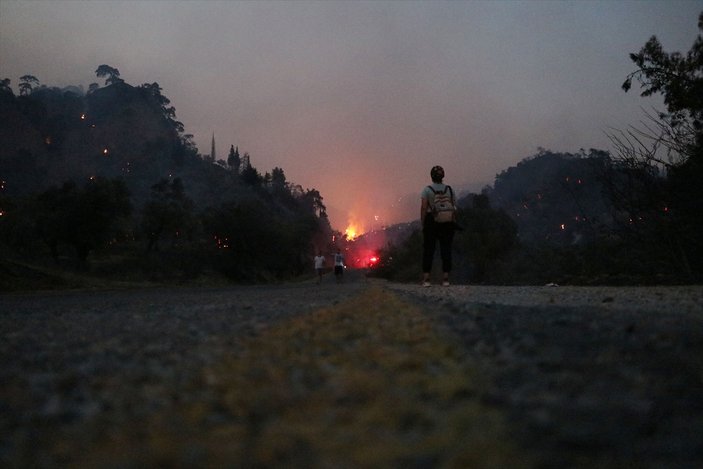 Aydın'da ağaçlık arazide yangın çıktı