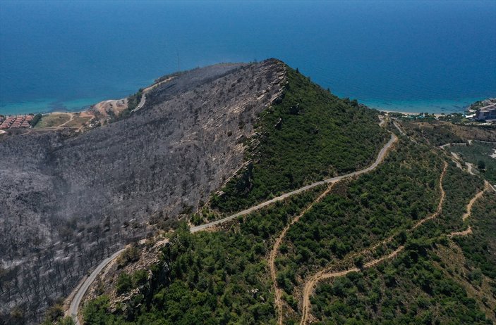 İzmir'deki orman yangınından geriye kalan