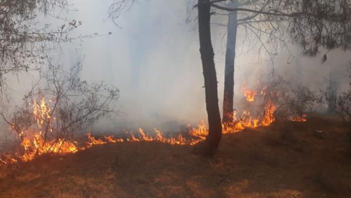 Aydos Ormanı'ndaki yangın kontrol altına alındı