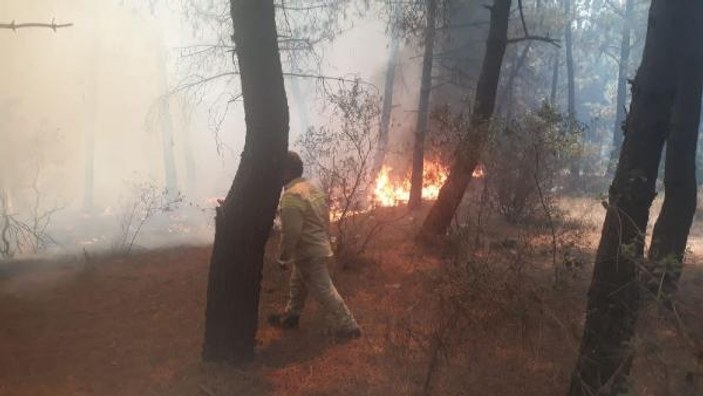 Aydos Ormanı'ndaki yangın kontrol altına alındı