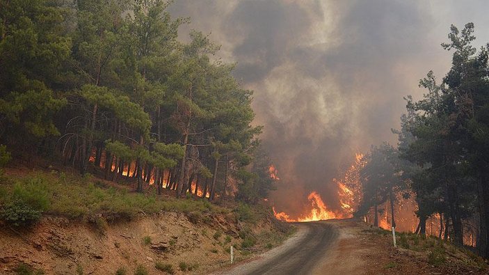 İçişleri Bakanlığı'ndan 'Orman Yangınları' genelgesi