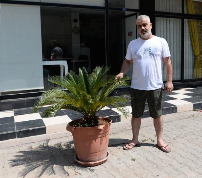 Adana'da saksıdaki süs bitkisinin çalınma anı