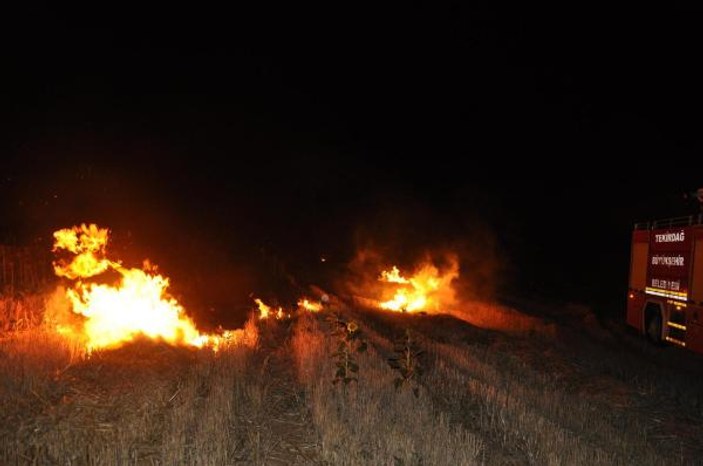 Tekirdağ'da yıldırım düşen ağaçlık alanda yangın