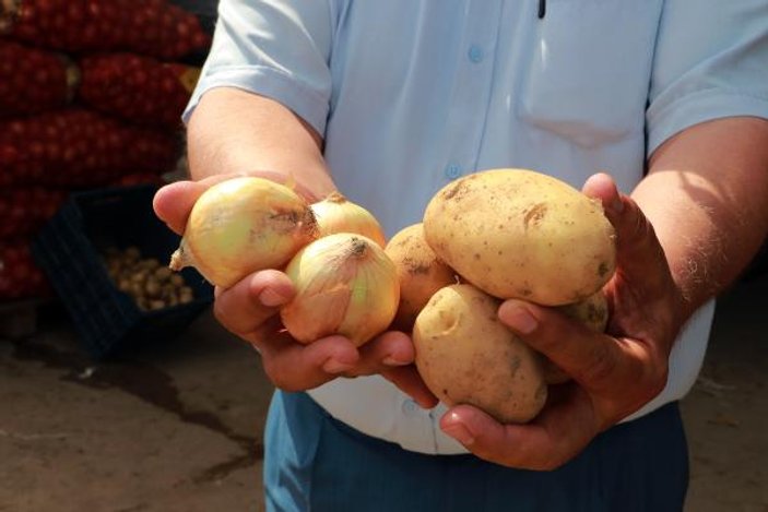 Niğde’de hastalıklara dayanıklı yerli ve milli patates