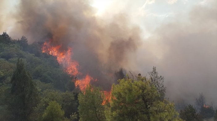 Sakarya'da orman yangını kontrol altına alındı