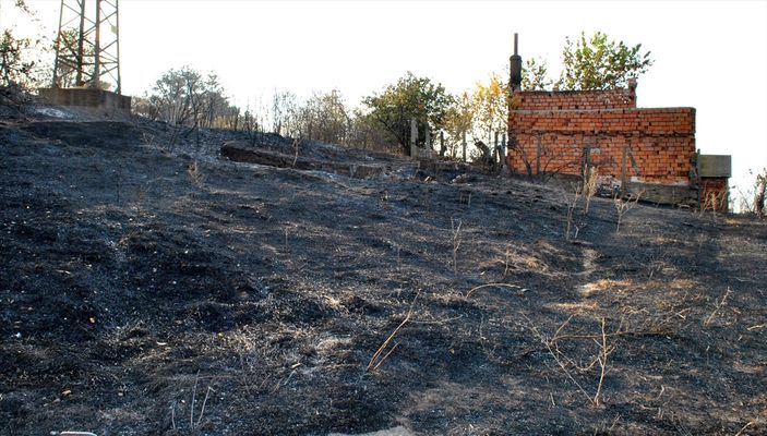 Bulgaristan-Türkiye sınırındaki yangın söndürüldü
