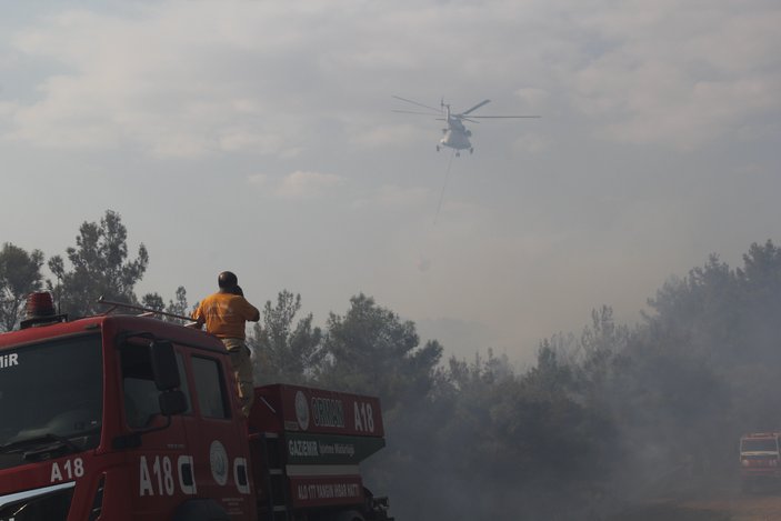 İzmir Menderes'teki orman yangınının şüphelisi tutuklandı