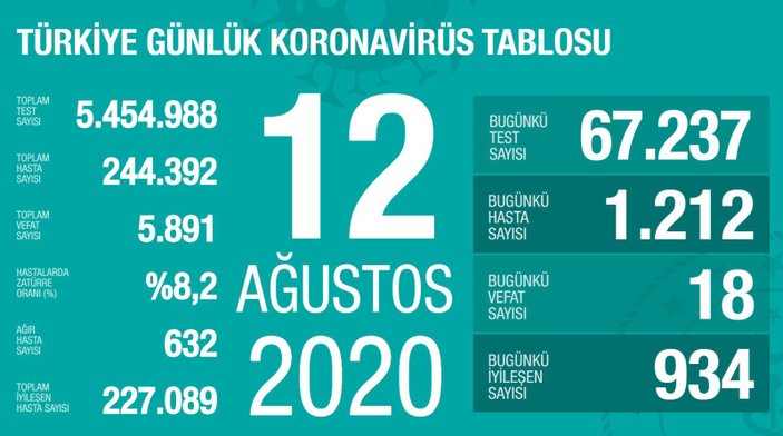 Türkiye'de koronavirüs salgınında günlük tablo