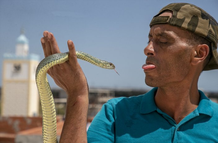 Tunuslu yılan avcısının iş aşkı