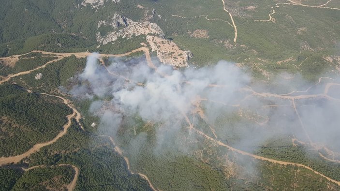 İzmir Menderes'teki orman yangınının şüphelisi tutuklandı