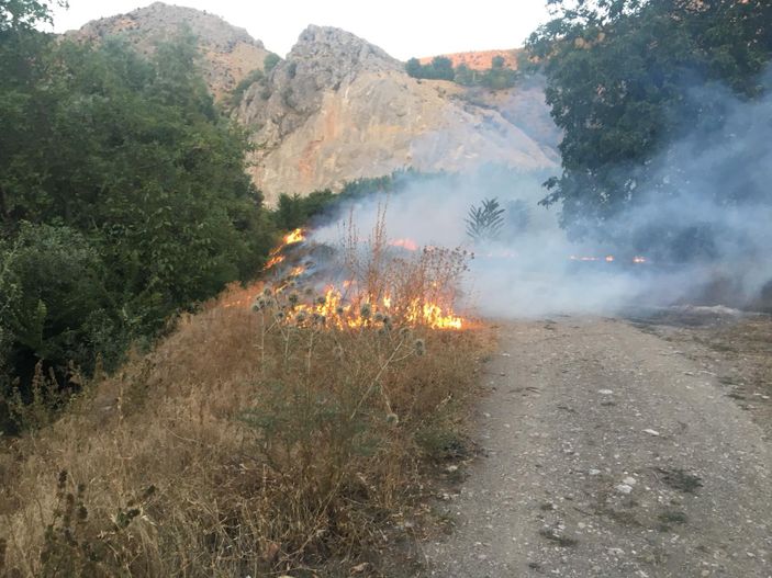 i Amasya'da çıkan yangında 5 dönüm arazi zarar gördü
