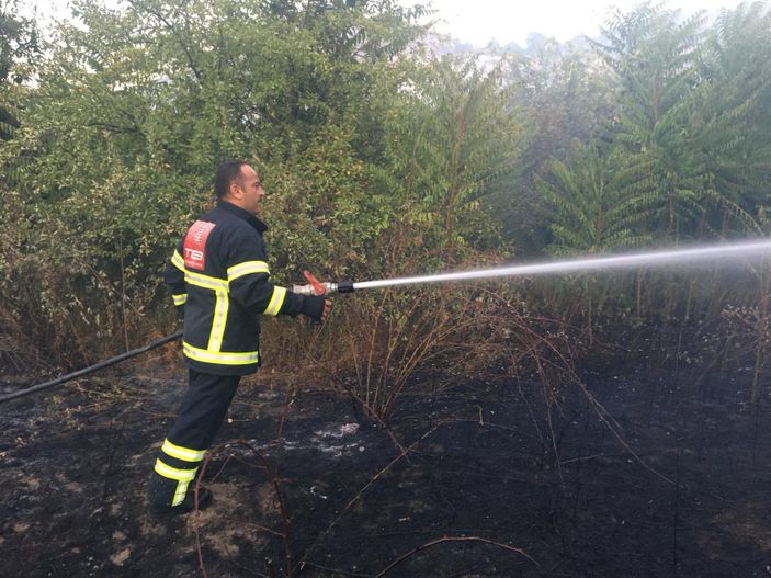 i Amasya'da çıkan yangında 5 dönüm arazi zarar gördü
