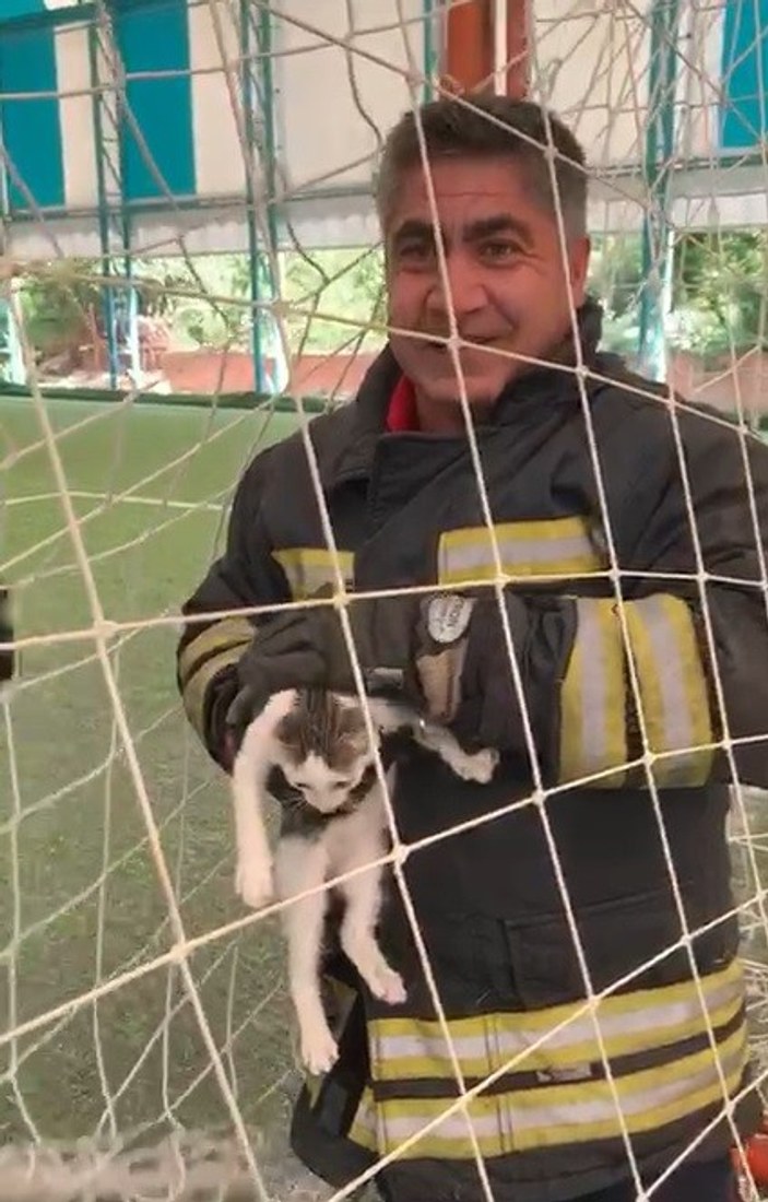 Tokat'ta kale filesine dolanan kedi kurtarıldı
