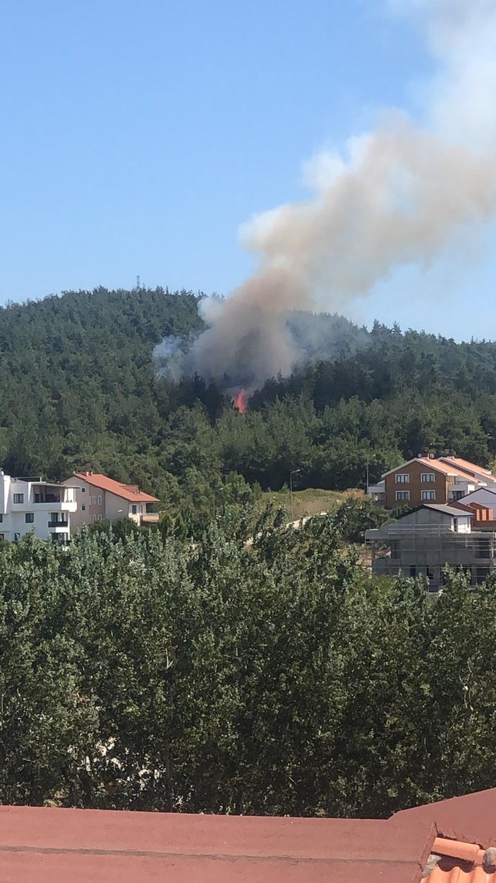 Bursa'da yerleşim yeri yakınında orman yangını