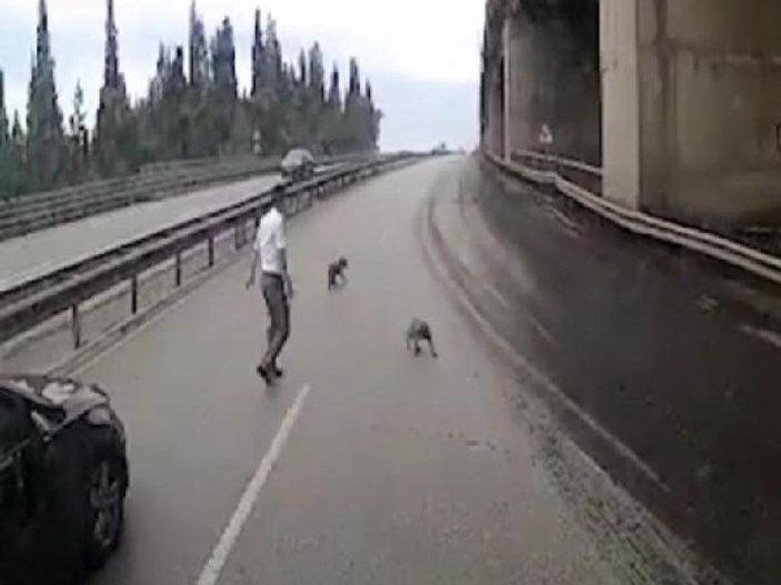 Kocaeli'de, araçların arasında kalan yavru köpekler kurtarıldı