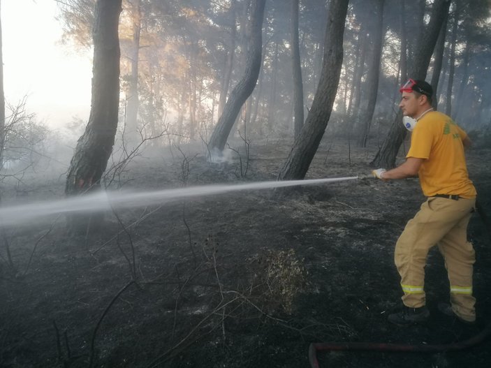 Bursa’da orman yangını meydana geldi