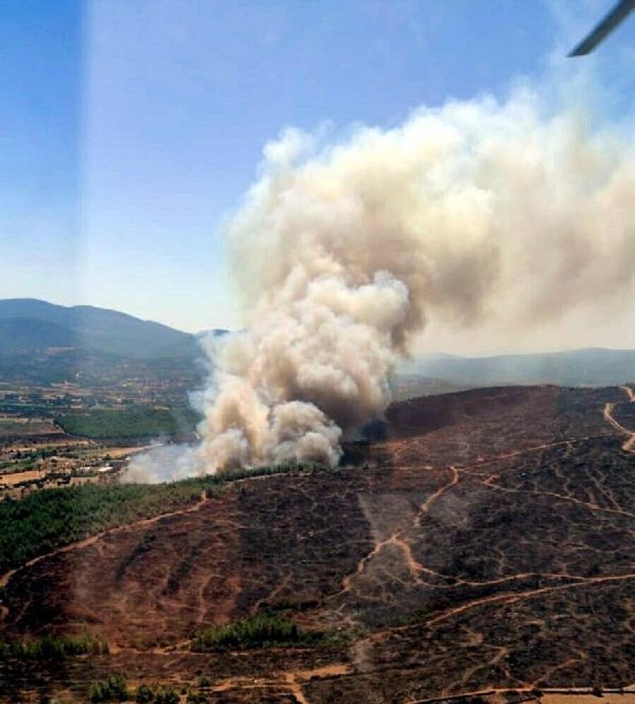 Muğla'da orman yangını: Havadan ve karadan müdahale sürüyor