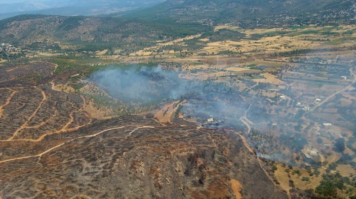 Muğla’daki orman yangınında 2 hektarlık alan zarar gördü