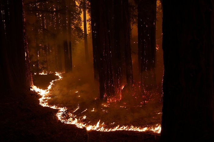 Trump, Kaliforniya'daki yangınları büyük afet ilan etti