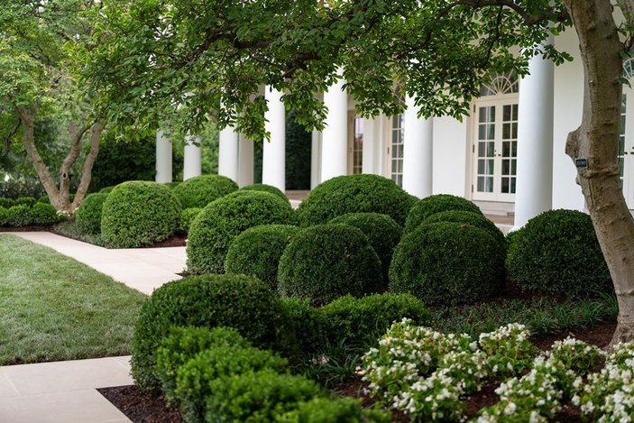 Melania Trump, Beyaz Saray Gül Bahçesi'nin restorasyonunu paylaştı
