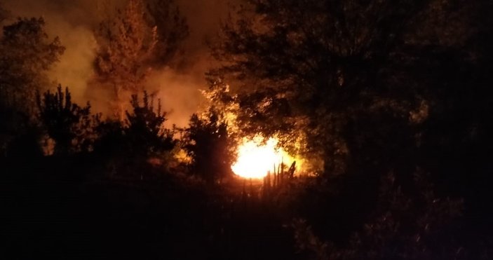 Tarım ve Orman Bakanı Bekir Pakdemirli: Yangın kasıtlı çıkarılmış olabilir