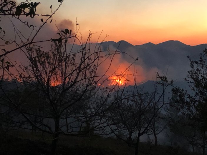 Adana'daki yangın kontrol altına alındı