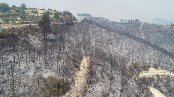 Adana'daki yangın kontrol altına alındı